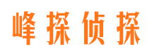 麻山市侦探调查公司